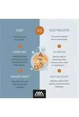 Redmond IsoBalance Horse Electrolyte Paste