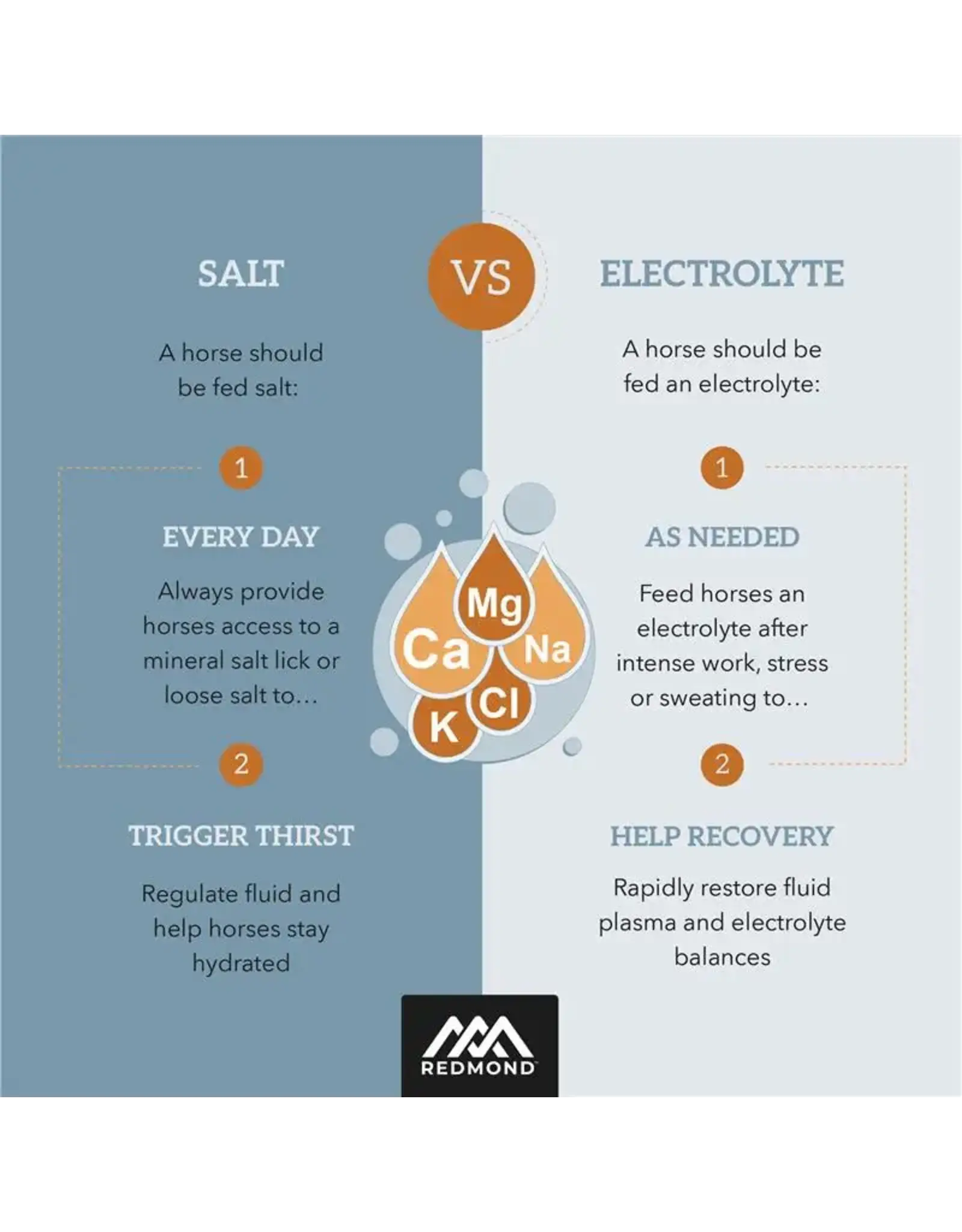 Redmond IsoBalance Horse Electrolyte Paste