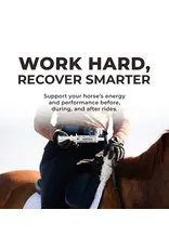 Redmond IsoBalance Horse Electrolyte Paste