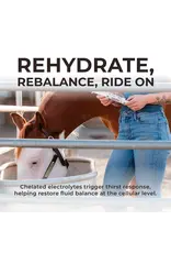 Redmond IsoBalance Horse Electrolyte Paste