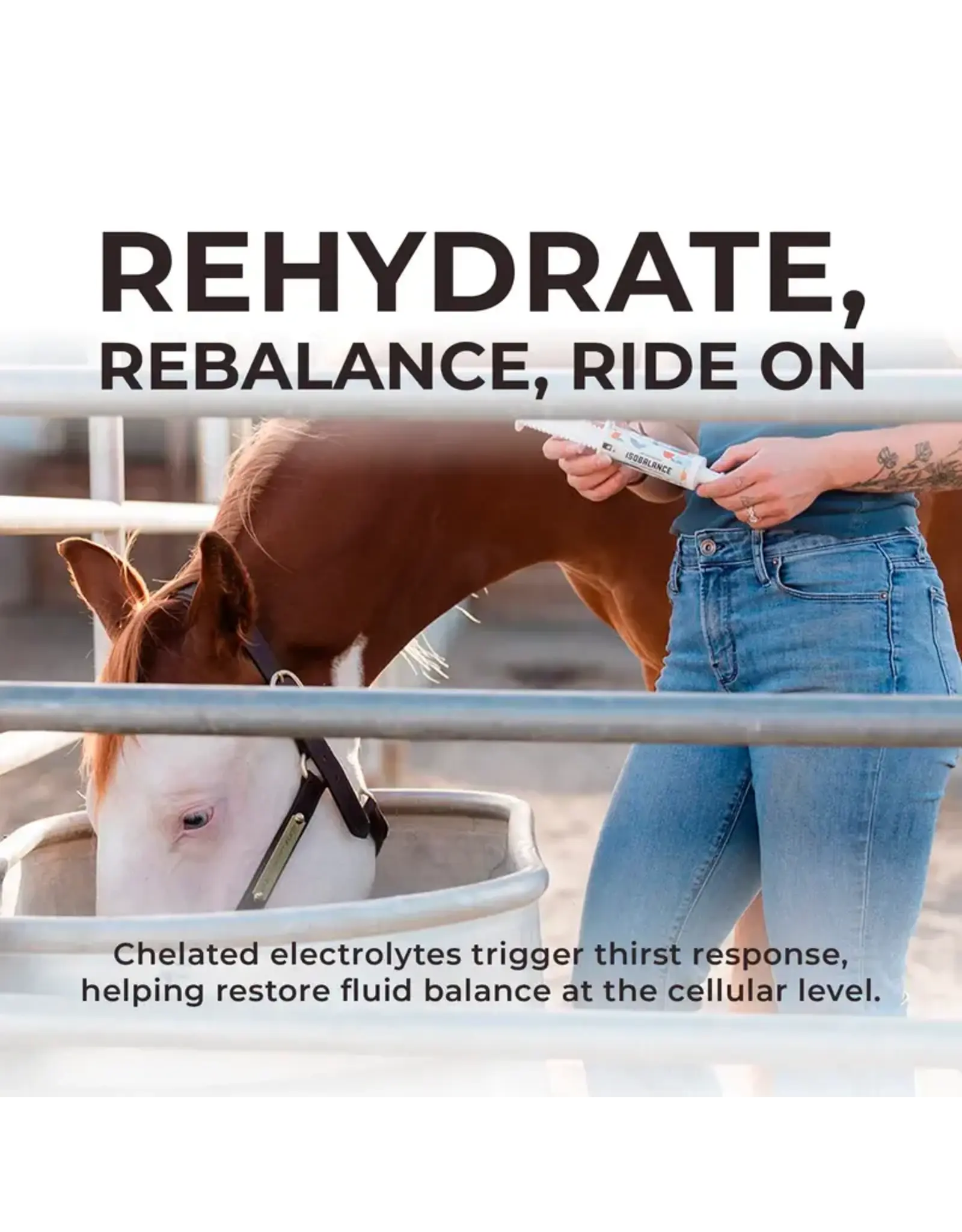 Redmond IsoBalance Horse Electrolyte Paste