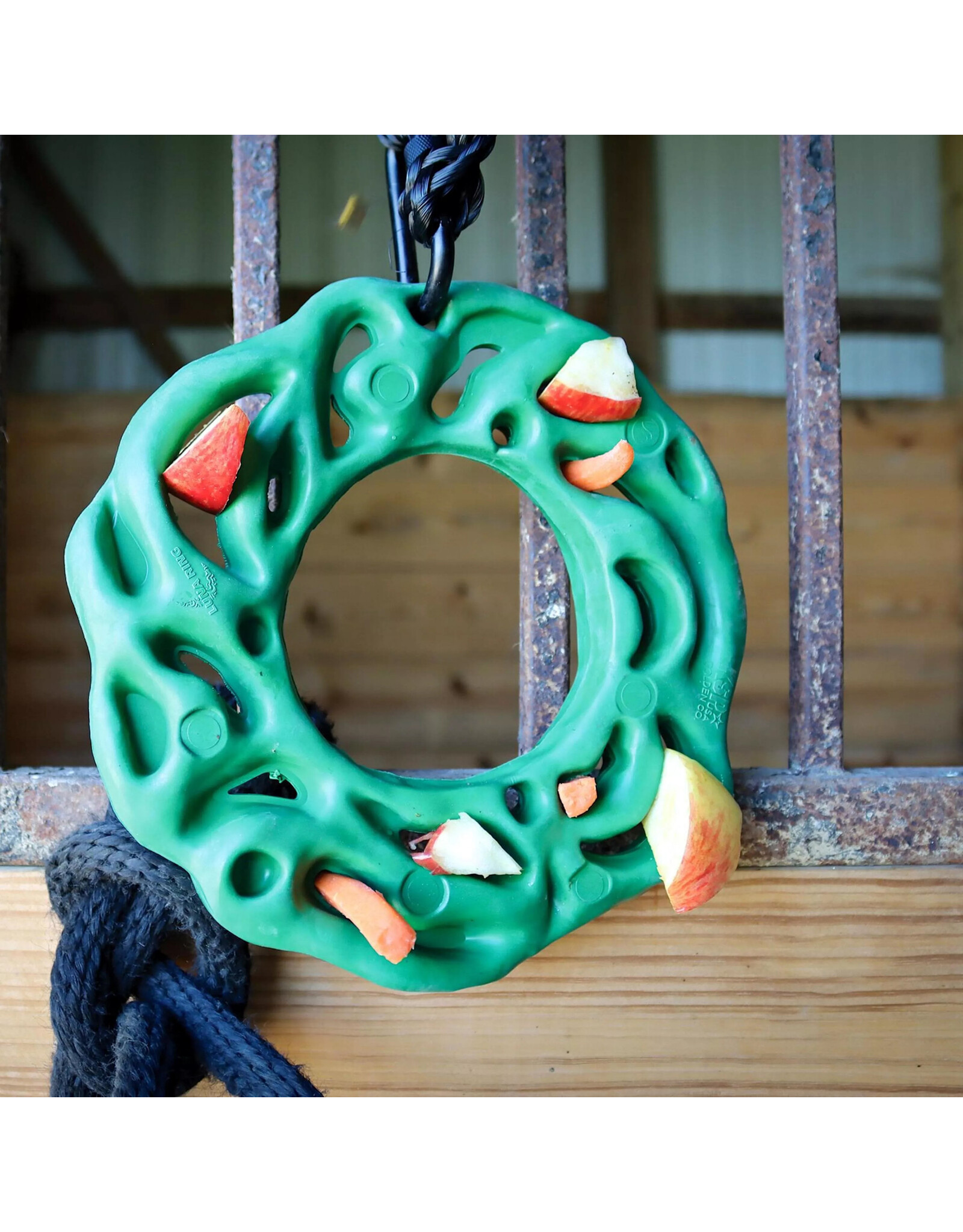 PetKORE Luna Ring with Hanging Kit for Equine