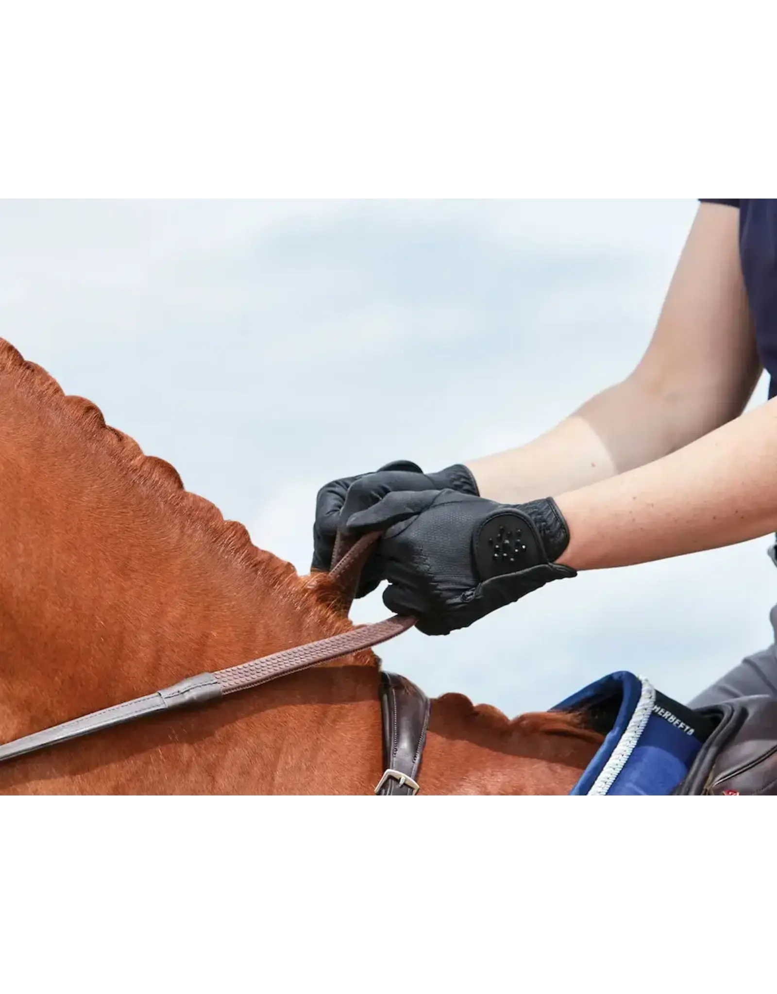 Everyday Bling Riding Gloves $34.99