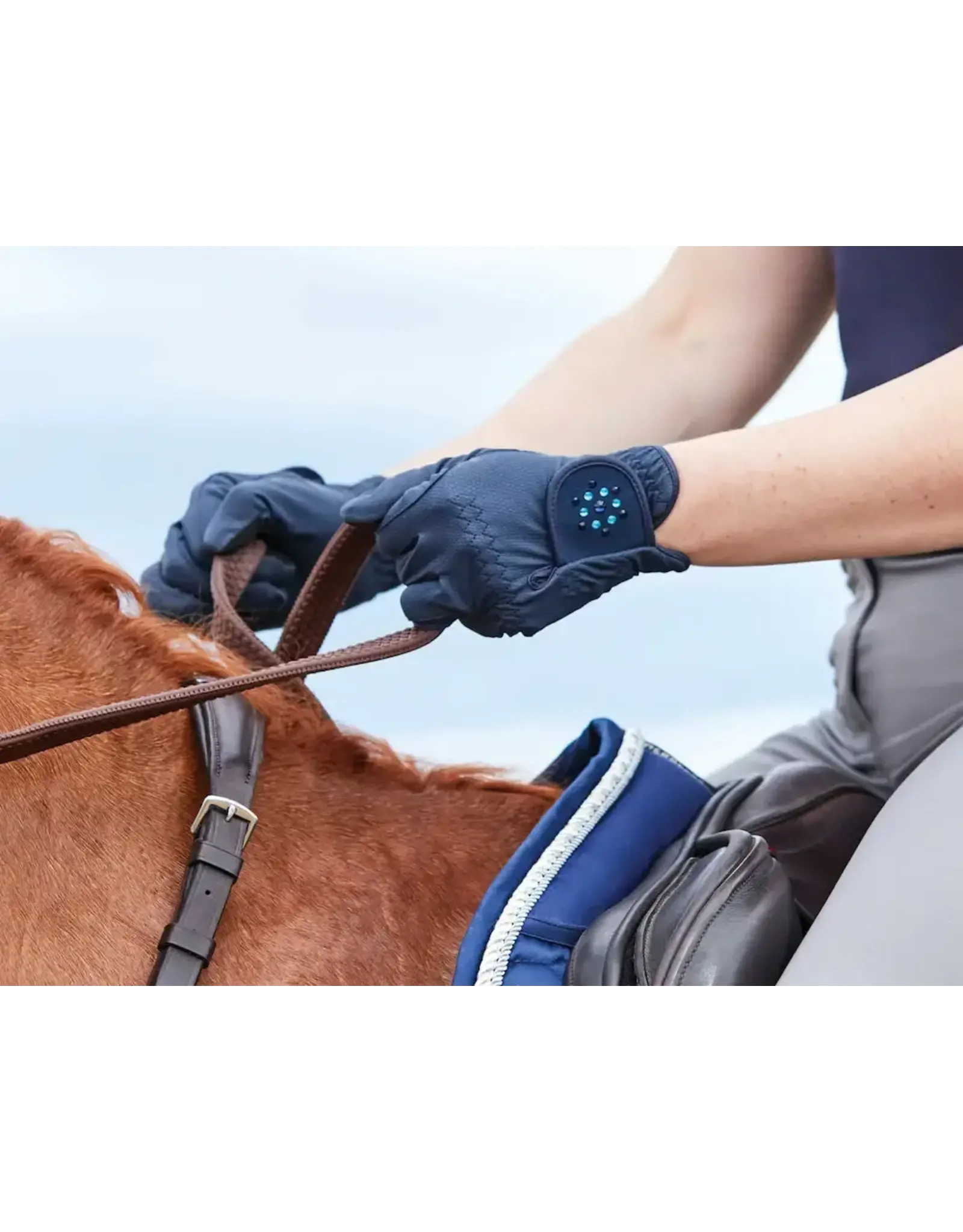 Everyday Bling Riding Gloves $34.99