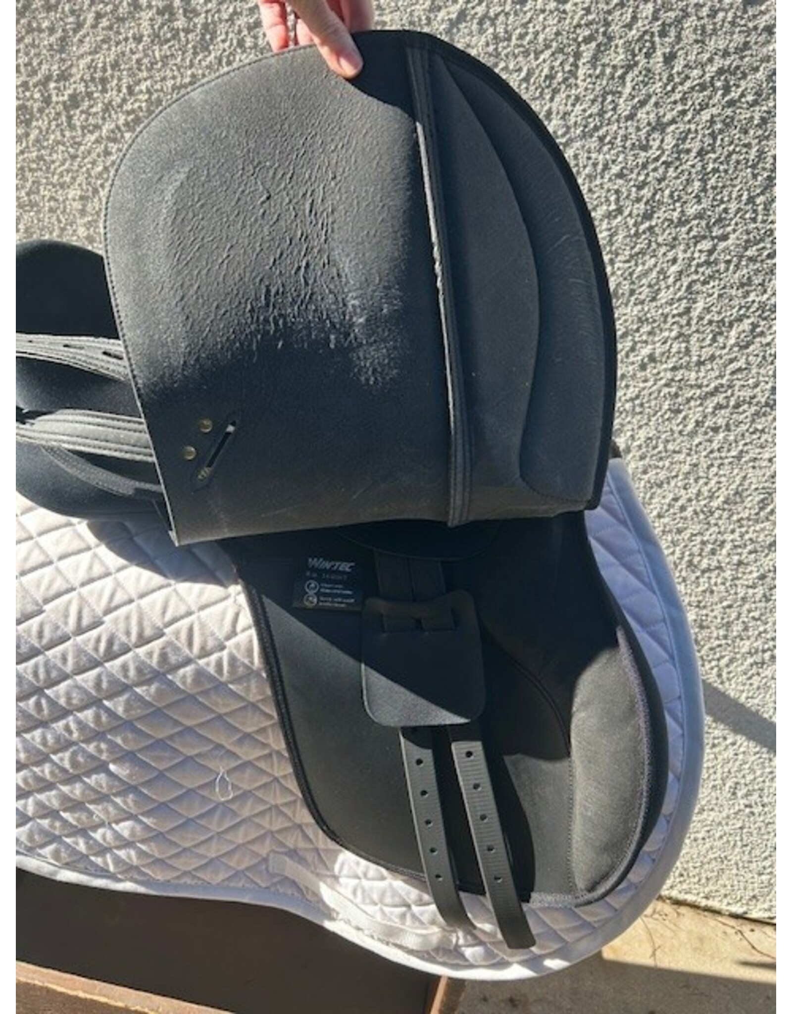 Wintec 250 All Purpose Saddle with Webbers and Irons