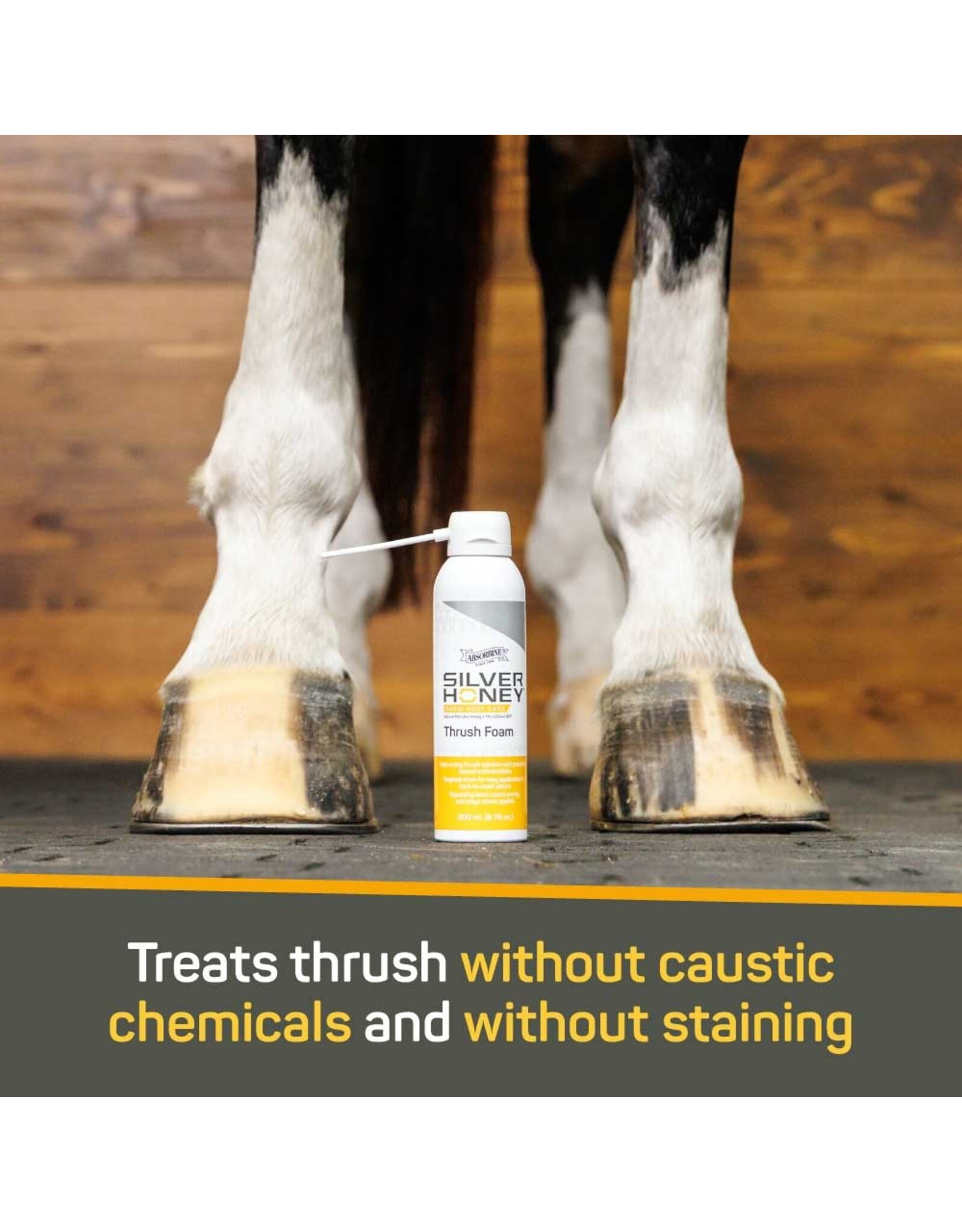 Silver Honey Rapid Hoof Care Thrush Foam