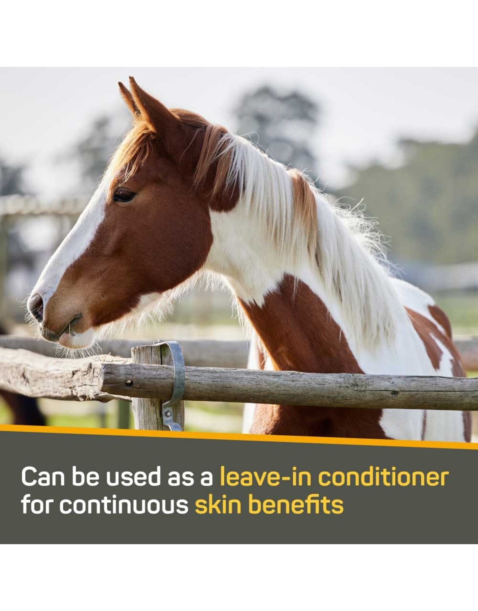 Silver Honey Rapid Skin Relief Soothing Conditioner