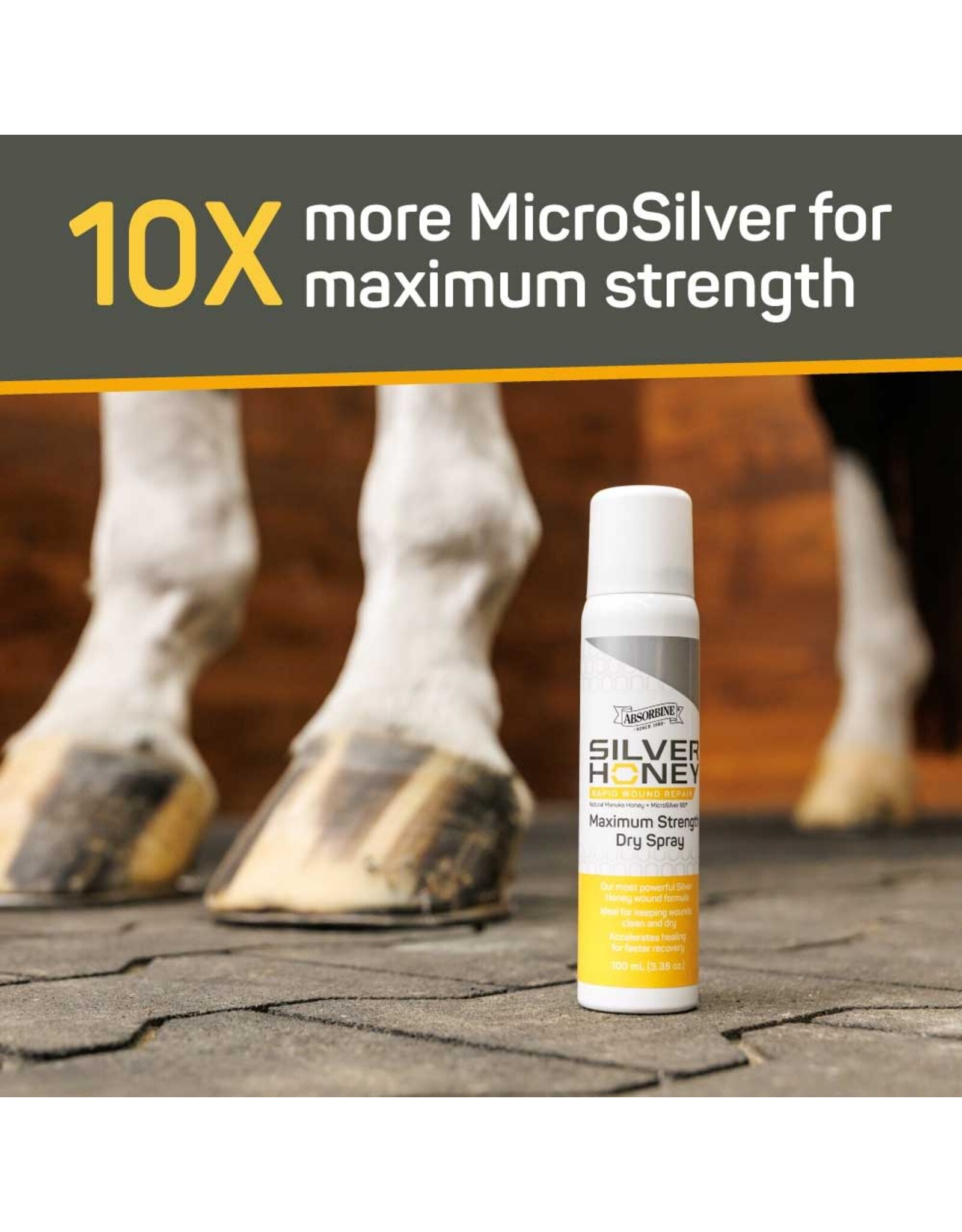 Silver Honey Rapid Wound Repair Maximum Strength Dry Spray