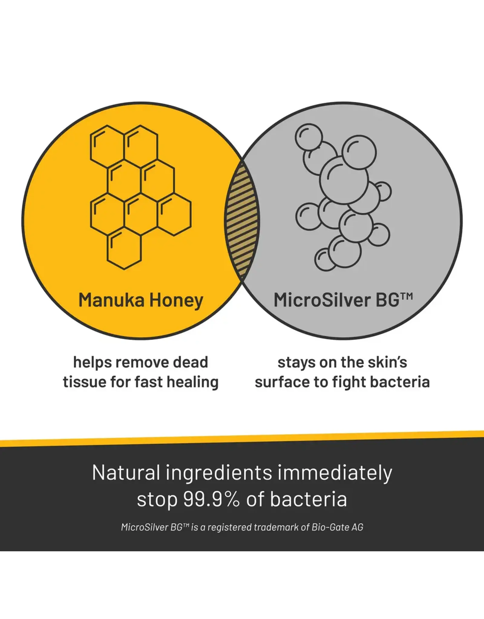 Silver Honey Rapid Wound Repair Maximum Strength Dry Spray