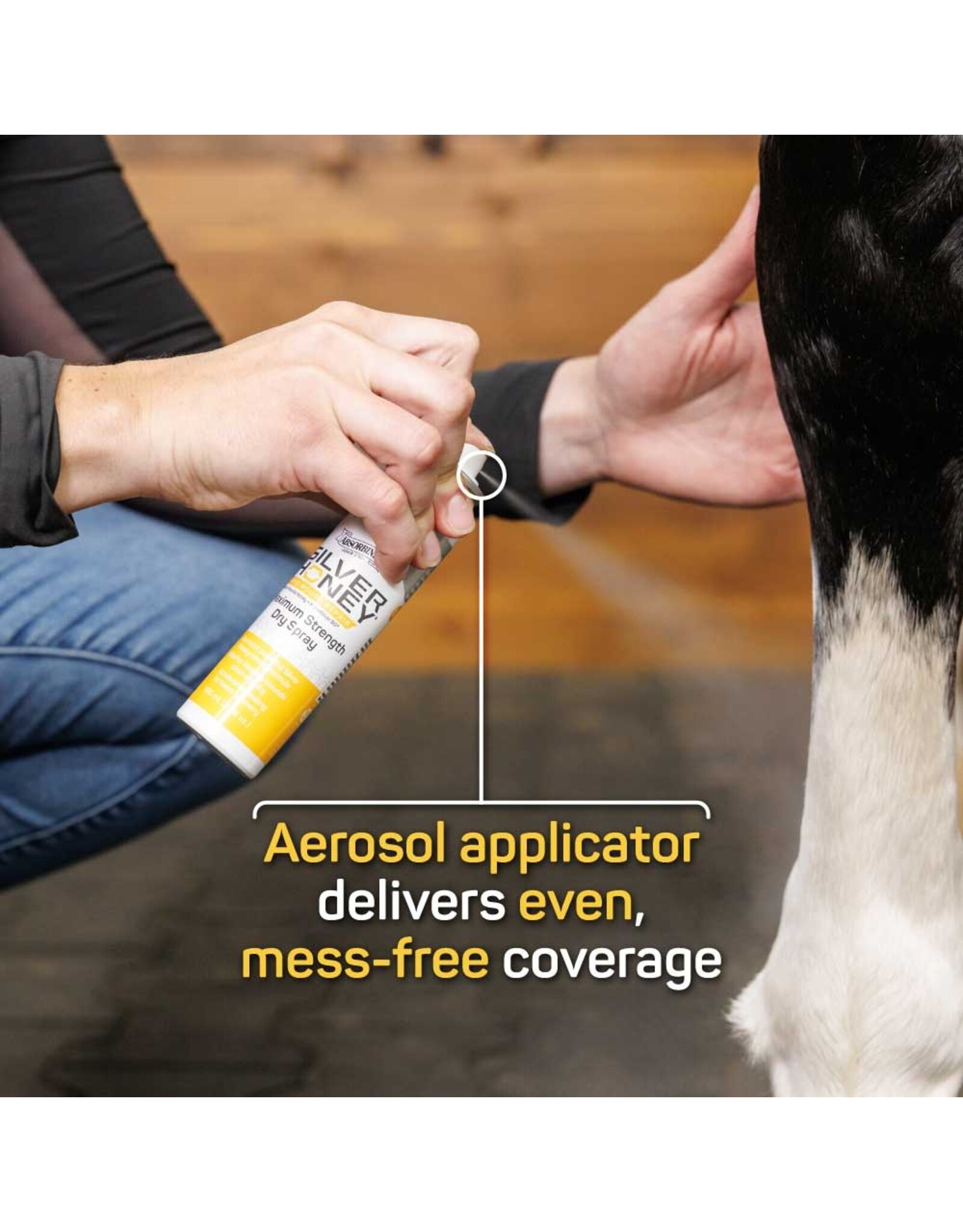 Silver Honey Rapid Wound Repair Maximum Strength Dry Spray