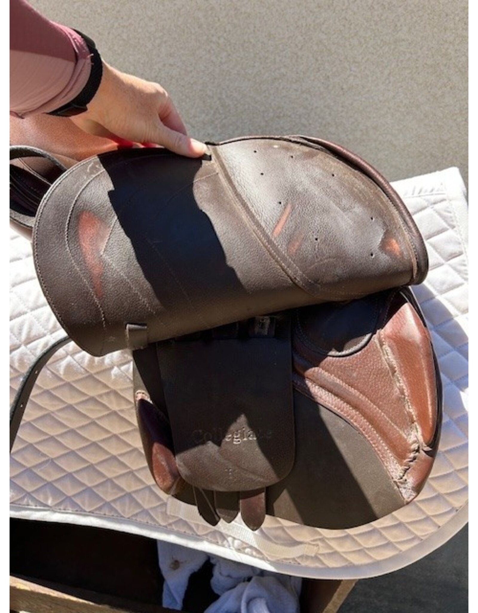 Collegiate Triumph Saddle 16" Seat, Adjustable Gullet (Wide Installed)