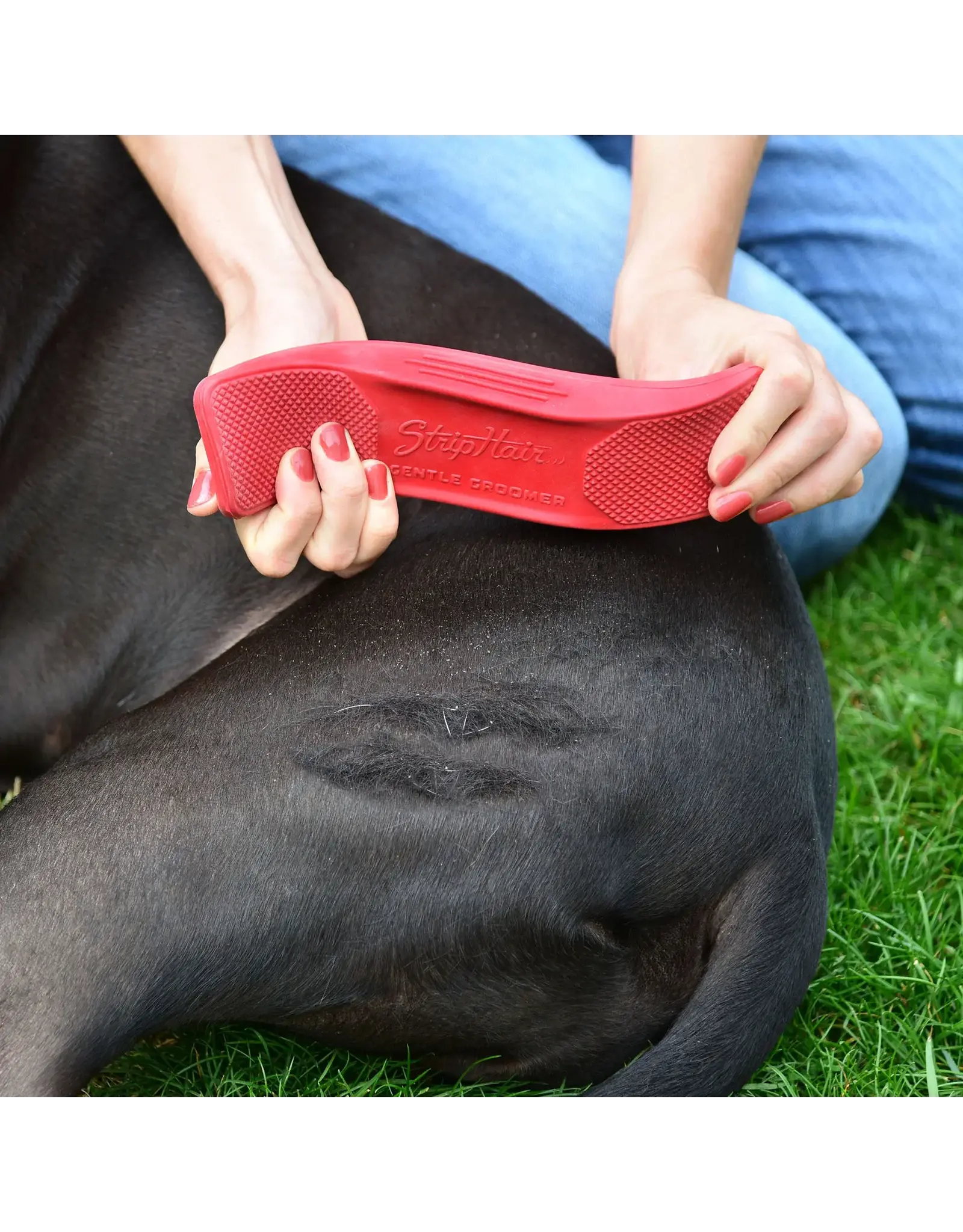StripHair Gentle Groomer Original for Pets