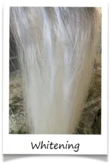 Bex All Natural Shampoo Bar