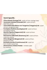 Bex All Natural Shampoo Bar