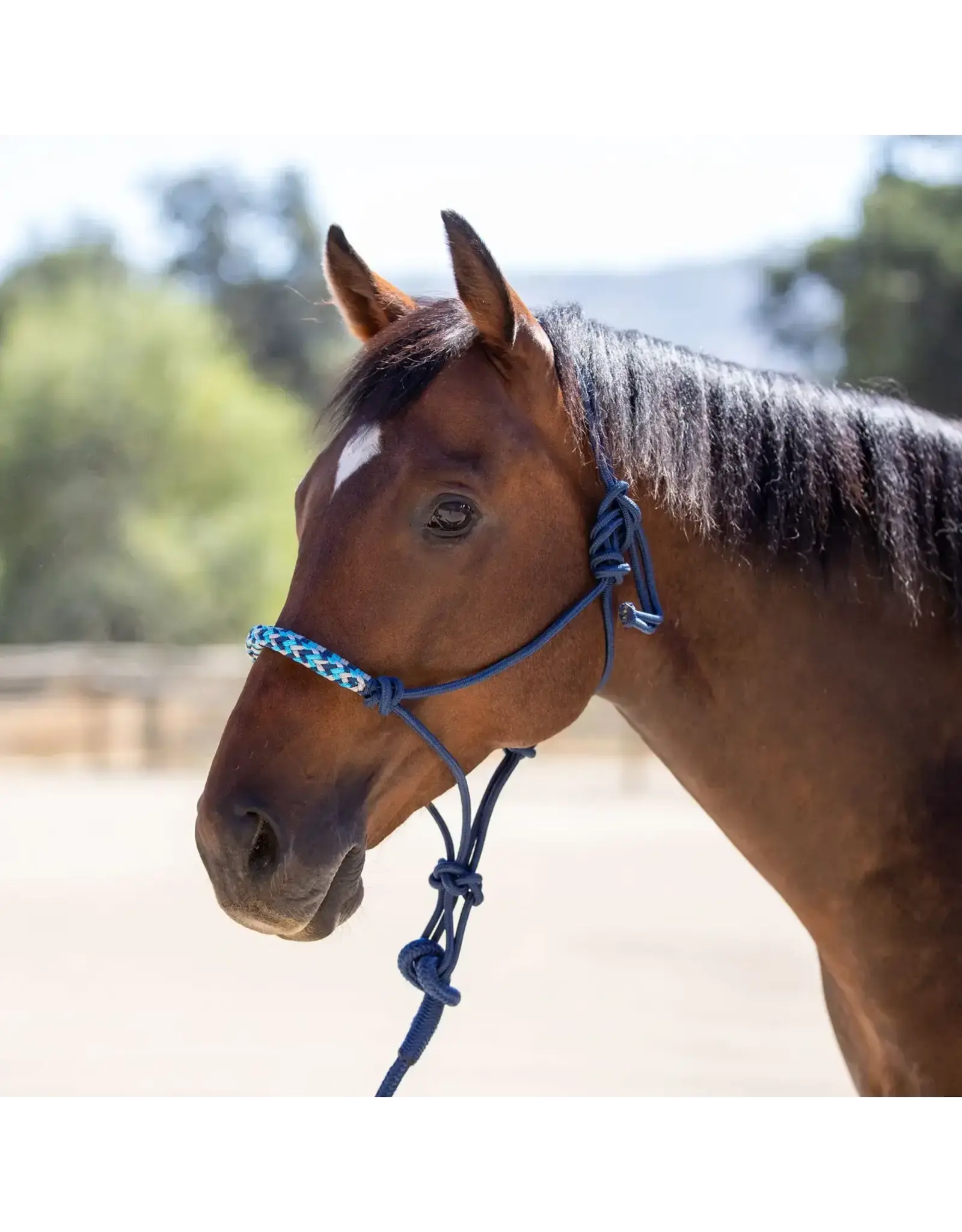 Kensington Clinician Rope Halter