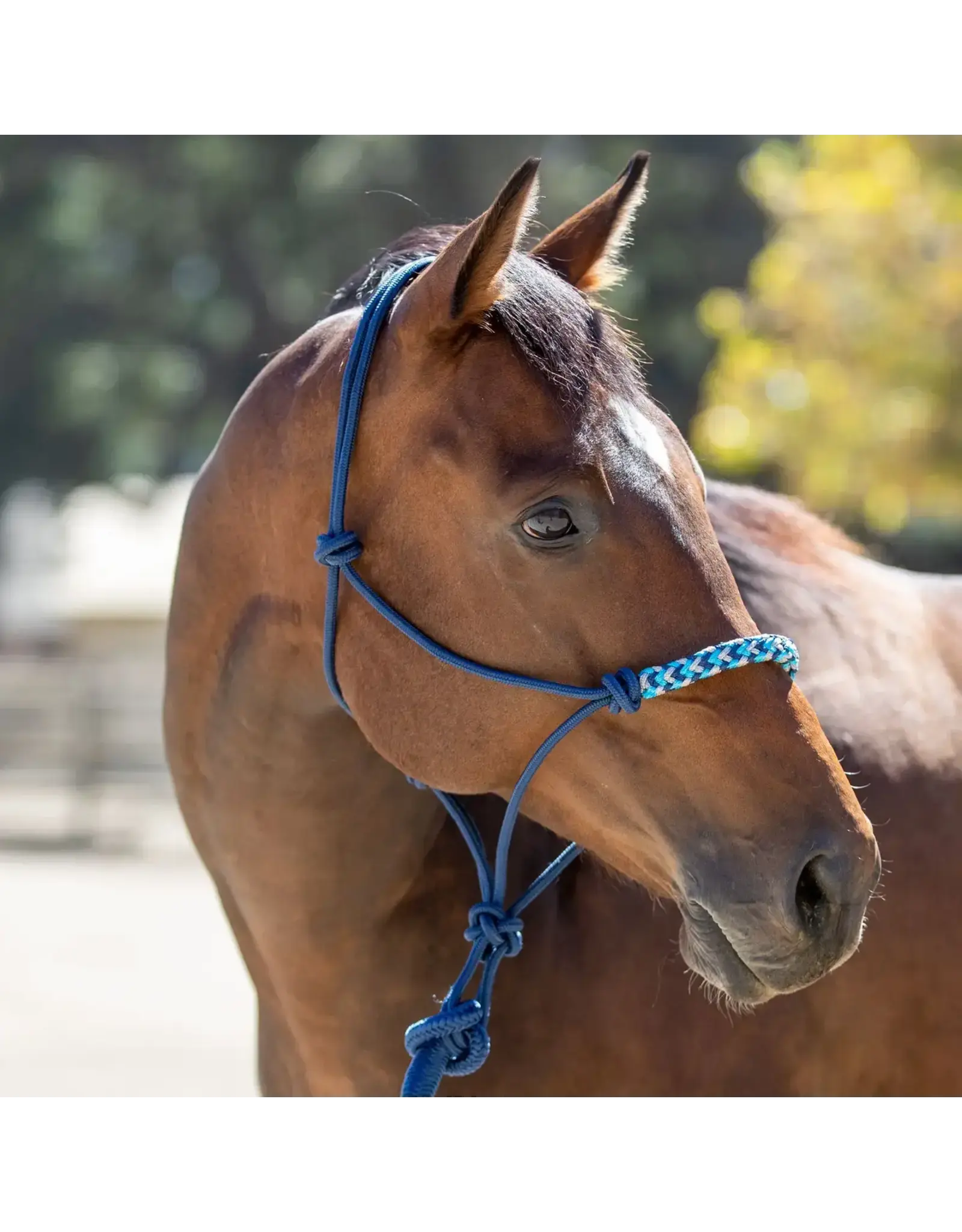 Kensington Clinician Rope Halter
