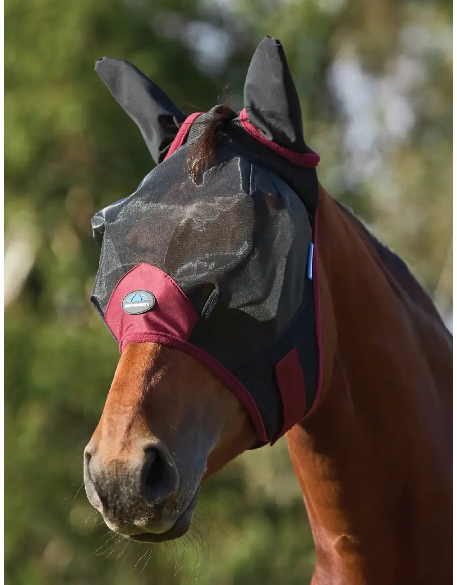Weatherbeeta ComFiTec Fine Mesh Fly Mask With Ears Black/Burgandy