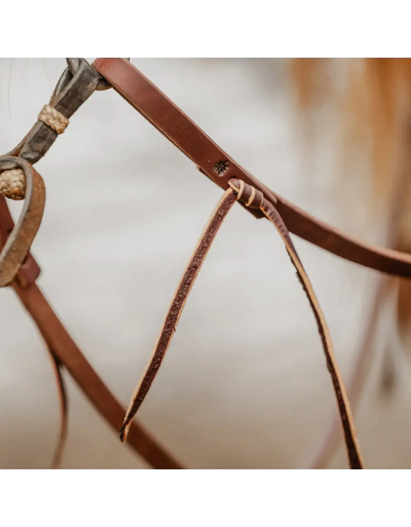 Weaver STS Ranch Signature Tack Harness Leather Split Rein Water Tie Ends 8'