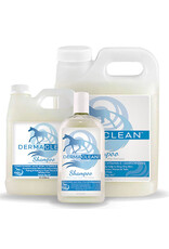Healthy Hair Care Derma Clean Shampoo