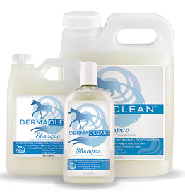 Healthy Hair Care Derma Clean Shampoo