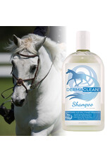 Healthy Hair Care Derma Clean Shampoo