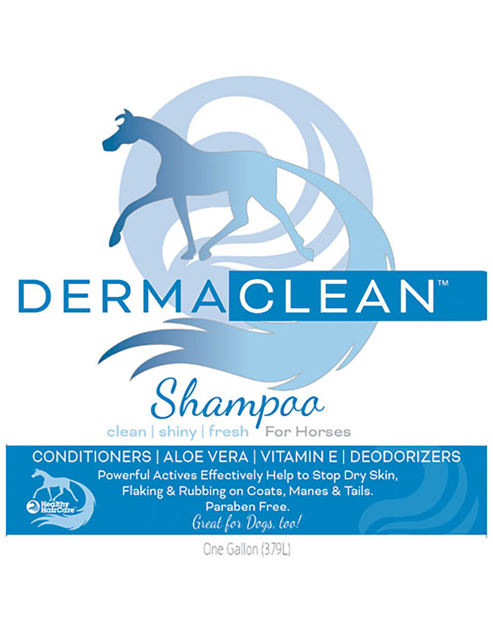Healthy Hair Care Derma Clean Shampoo