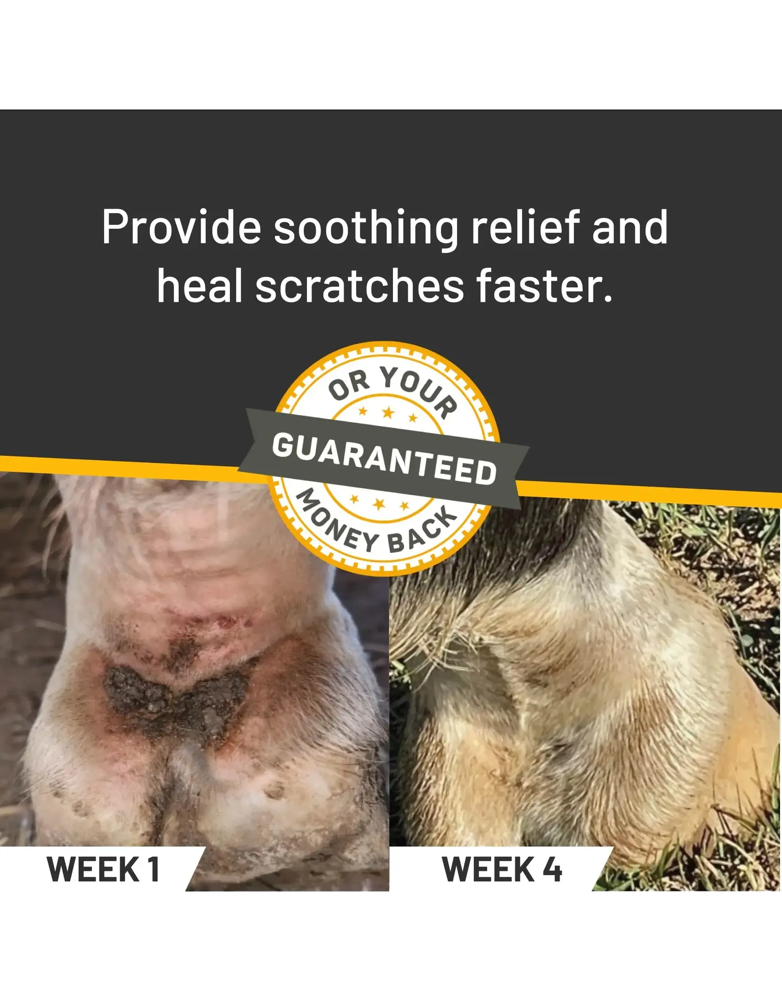 Silver Honey Rapid Skin Relief Scratches Spray 6oz