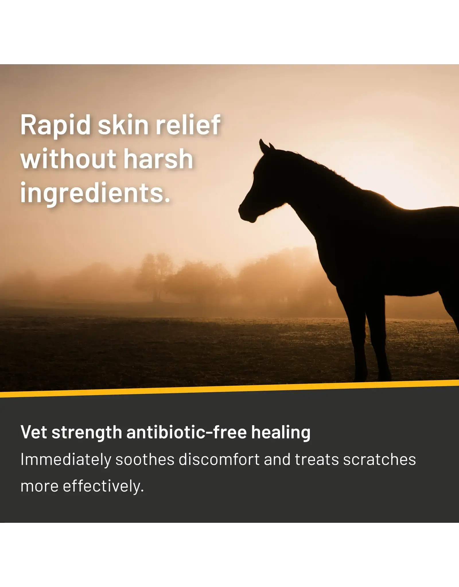 Silver Honey Rapid Skin Relief Scratches Spray 6oz