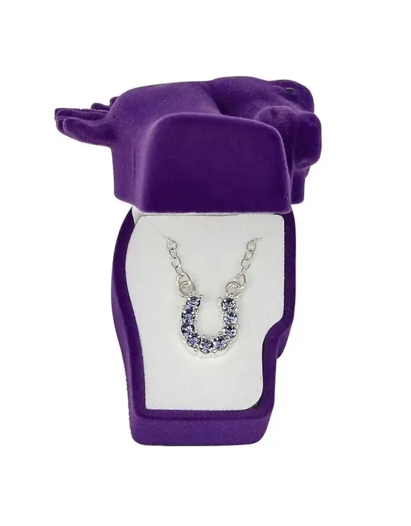 AWST International Aqua Rhinestone Horseshoe Necklace w/Horse Head Gift Box
