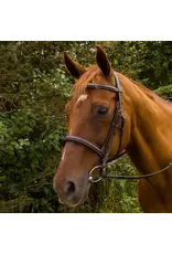 Pro Mono Crown Fancy Stitched Padded Bridle