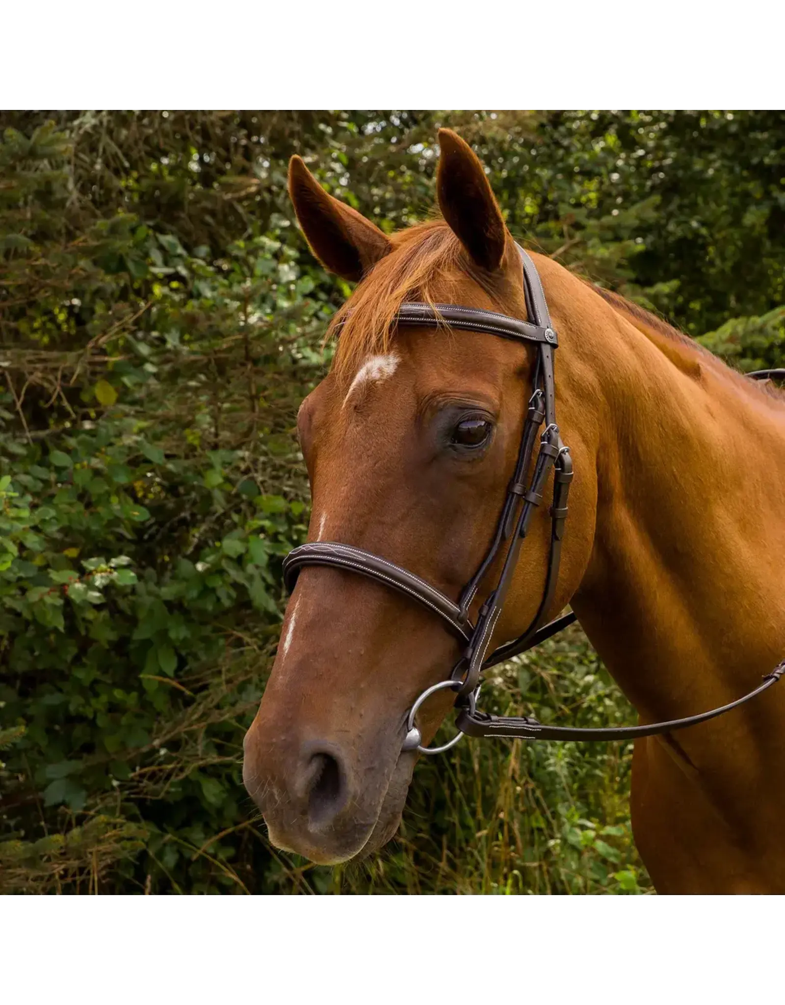 Pro Mono Crown Fancy Stitched Padded Bridle