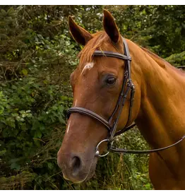 Pro Mono Crown Fancy Stitched Padded Bridle