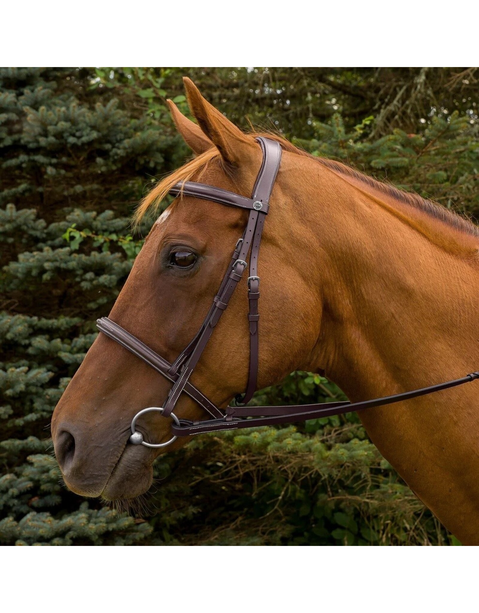 Pro Mono Crown Fancy Stitched Padded Bridle
