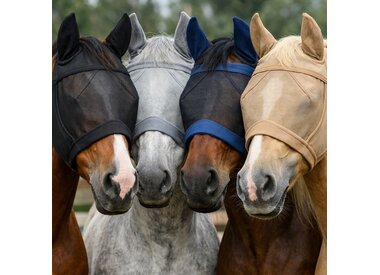Fly Masks and Boots