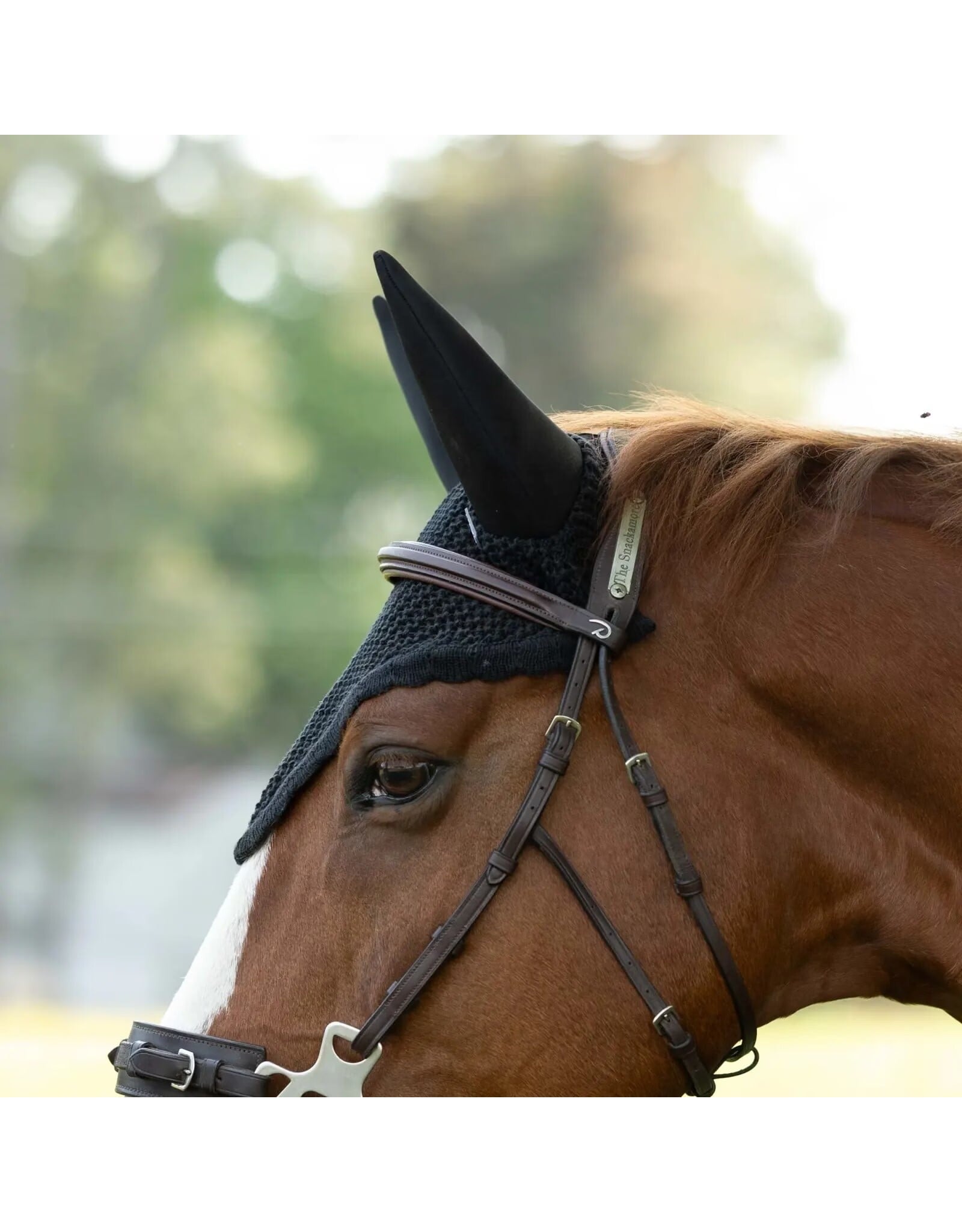 Supreme Silent Ear Net