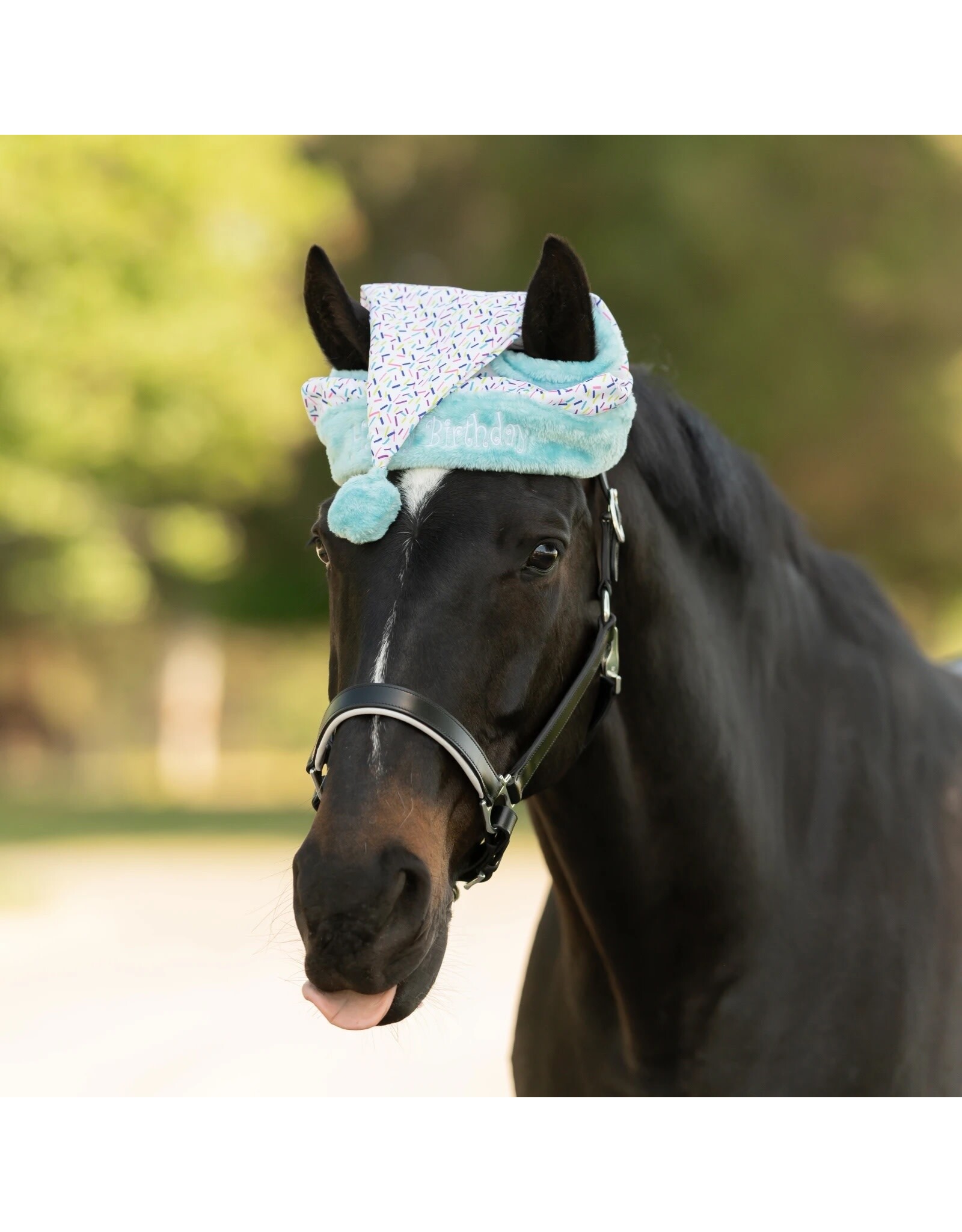 Equinavia Horse Birthday Hat
