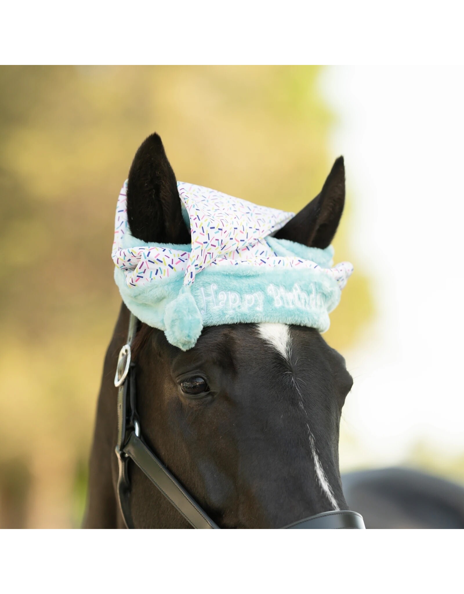 Equinavia Horse Birthday Hat