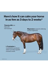 Lifecare Formula 707 Calming Pellets Apple Flavored Show Safe
