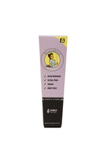 Blazy Susan Blazy Susan Purple 1 1/4 Cones 6 Pack