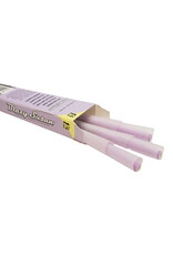 Blazy Susan Blazy Susan Purple 1 1/4 Cones 6 Pack