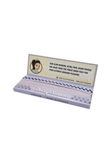 Blazy Susan Blazy Susan Purple 1 1/4 Papers