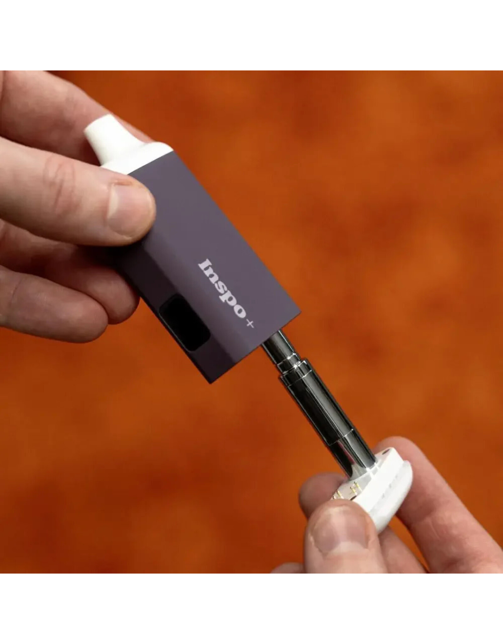 Randy's Randy's Inspo Plus Glacier White