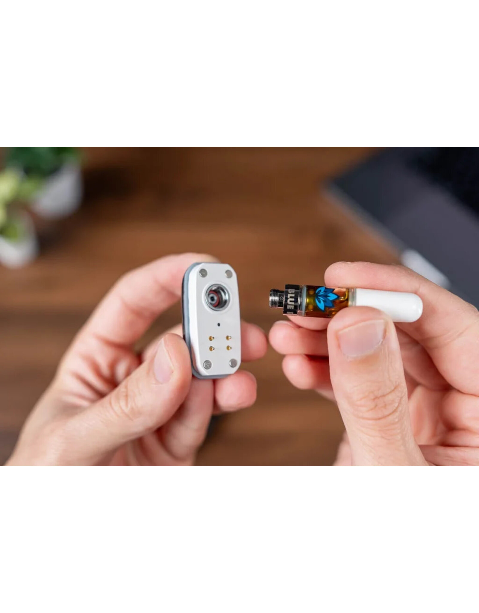 Randy's Randy's Inspo Plus Glacier White