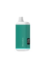 Randy's Randy's Inspo Plus Seafoam Green