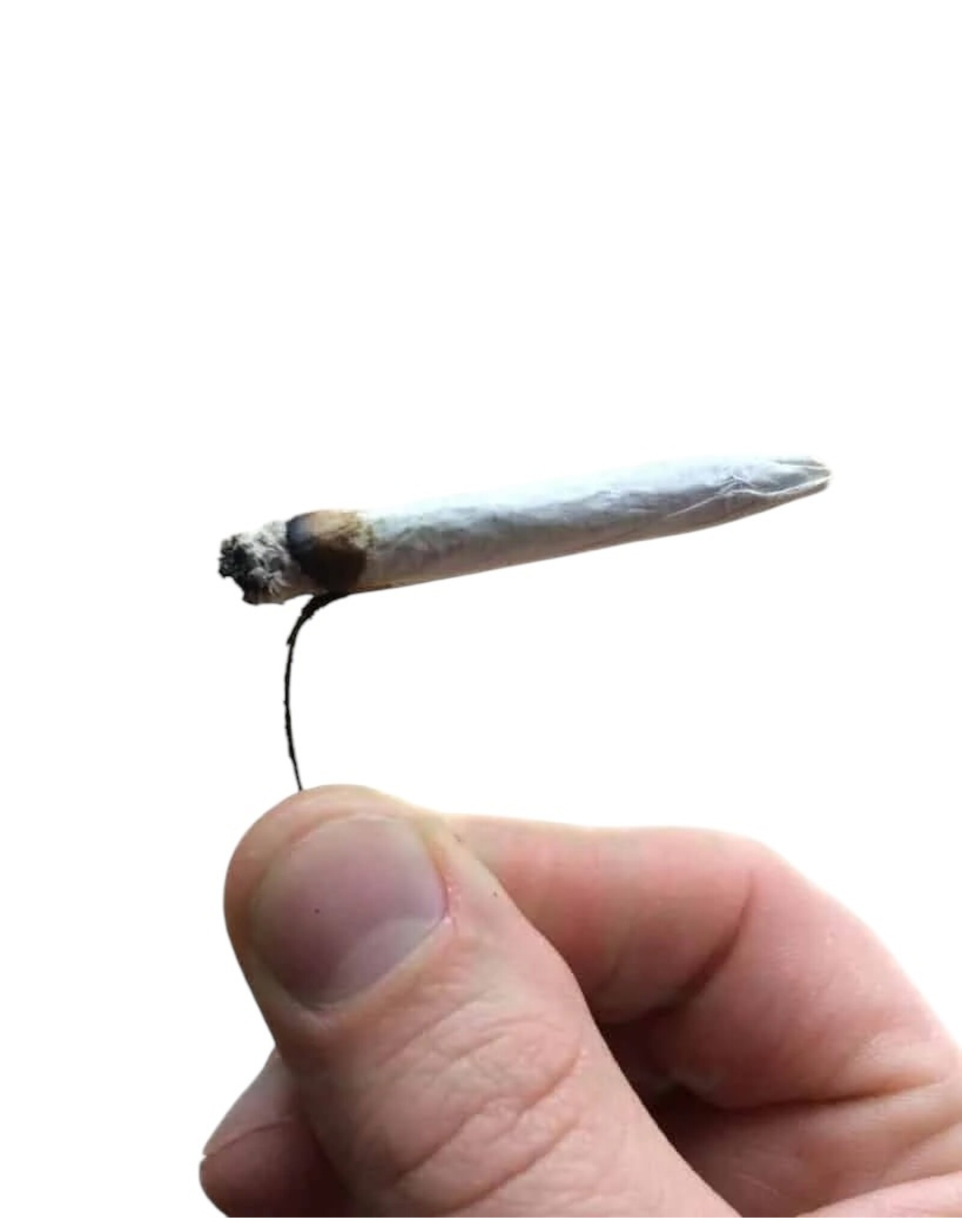 Randy's Randy's 1 1/4 Wired Cones 3pk