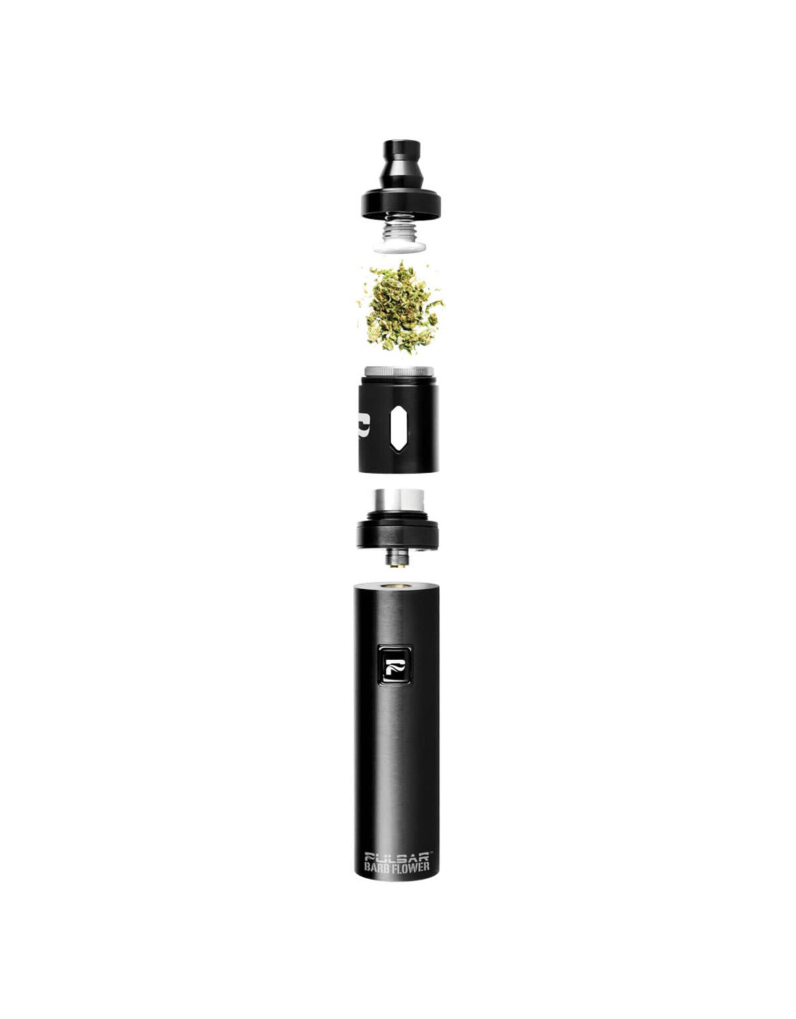 Pulsar Pulsar Barb Flower Herb SILVER Vaporizer Kit | 1450 mAh