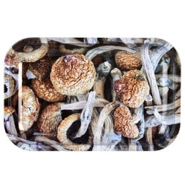 Pulsar Pulsar Metal Rolling Tray | Shroom Collage