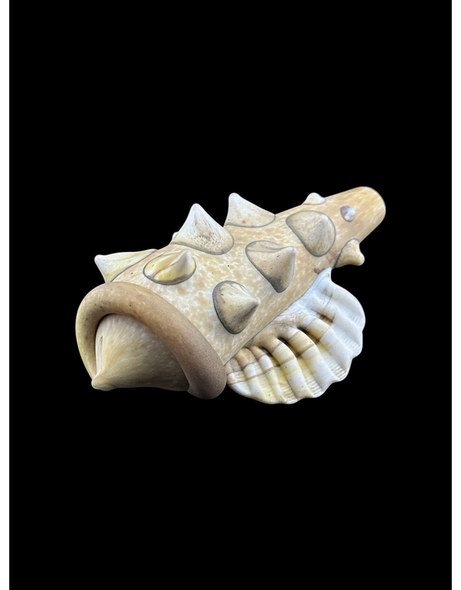 Seashell Sandblasted White pipe