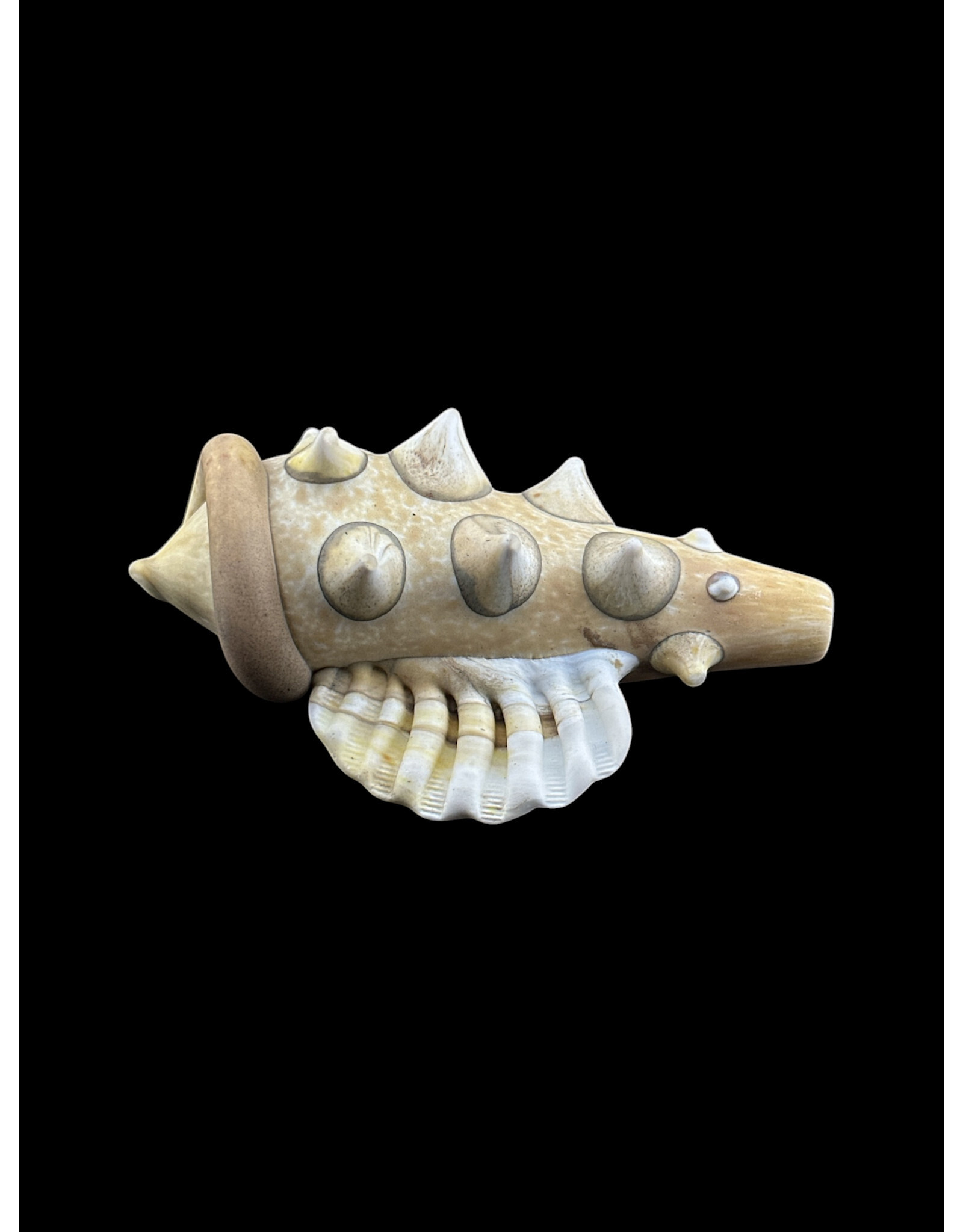 Seashell Sandblasted White pipe