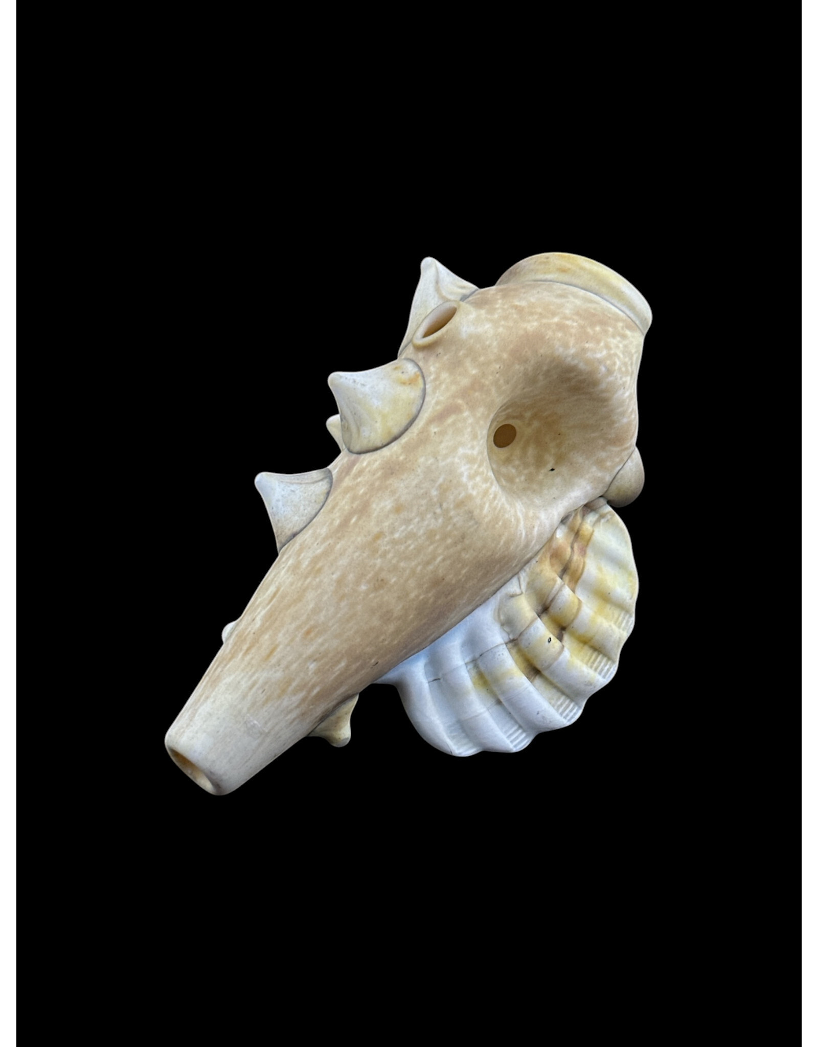 Seashell Sandblasted White pipe